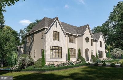 913 WHANN AVE MCLEAN, VA 22101